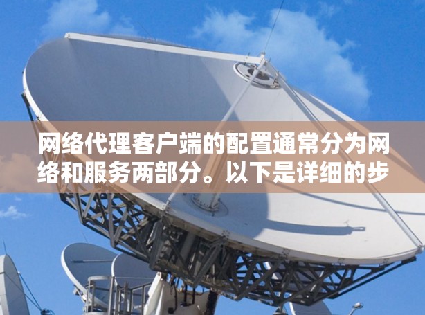 网络代理客户端的配置通常分为网络和服务两部分。以下是详细的步骤指南