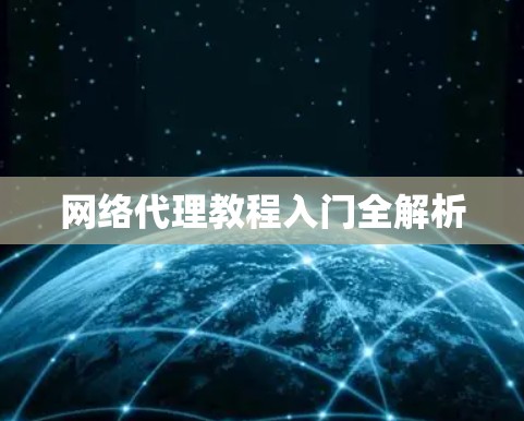 网络代理教程入门全解析