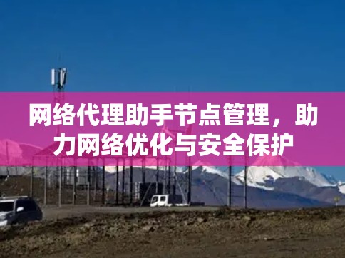 网络代理助手节点管理，助力网络优化与安全保护