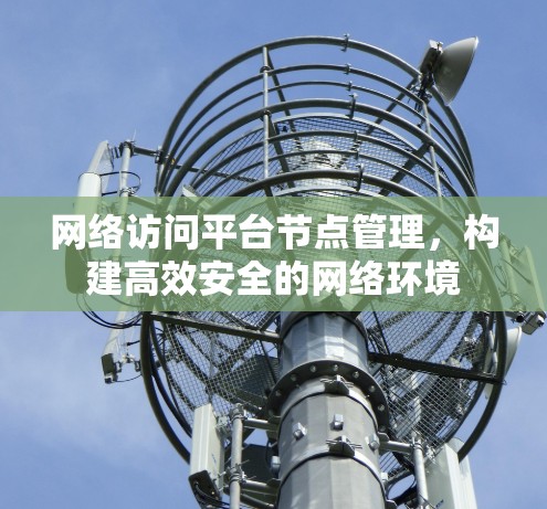 网络访问平台节点管理，构建高效安全的网络环境