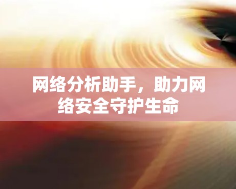 网络分析助手，助力网络安全守护生命