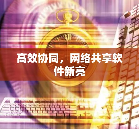 高效协同，网络共享软件新亮