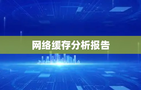 网络缓存分析报告