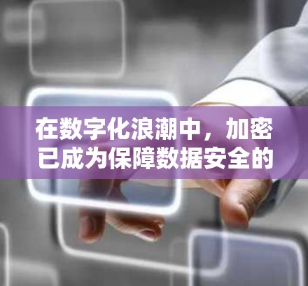 在数字化浪潮中，加密已成为保障数据安全的重要手段。为满足不同用户的需求，推荐了几款常用的网络加密软件，以下是它们的详细介绍及使用方法