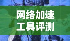 网络加速工具评测报告，你的选择有哪些？