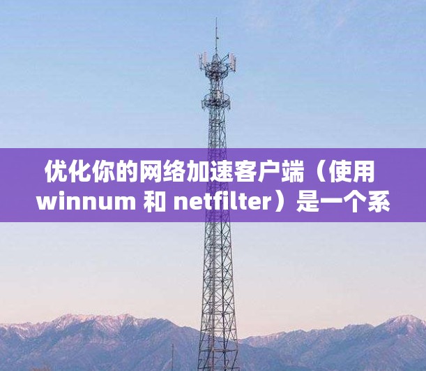 优化你的网络加速客户端（使用 winnum 和 netfilter）是一个系统性的过程，需要综合考虑多个因素。以下是一步步的优化建议