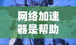 网络加速器是帮助用户提升网络速度的重要工具，以下是对几个主要网络加速器的评测