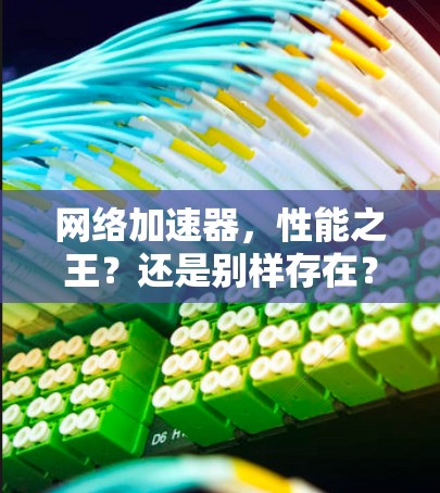 网络加速器，性能之王？还是别样存在？