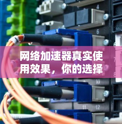 网络加速器真实使用效果，你的选择标准