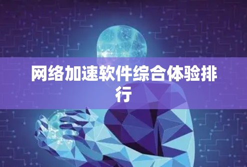 网络加速软件综合体验排行 网络加速软件综合体验排行